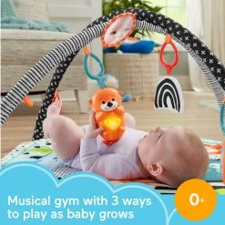 Fisher Price Fisher-Price 3-in-1 Gym Met Muziek En Lichtjes -Speelgoed Winkel 1990784 d439522d