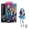 MATTEL Monster High Frankie Stein Pop Met Huisdier En Accessoires -Speelgoed Winkel 1995015 a396ac1a