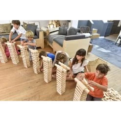 Kapla Bouwton 200-delig -Speelgoed Winkel EB 1197458B